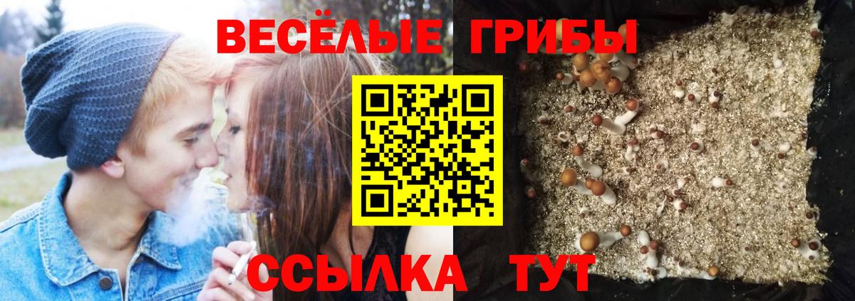 Галлюциногенные грибы MAGIC MUSHROOMS Тара