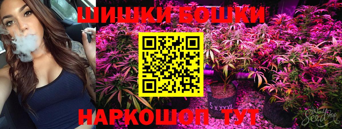 Канабис OG Kush Тара